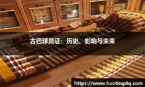 tyc9728太阳成城