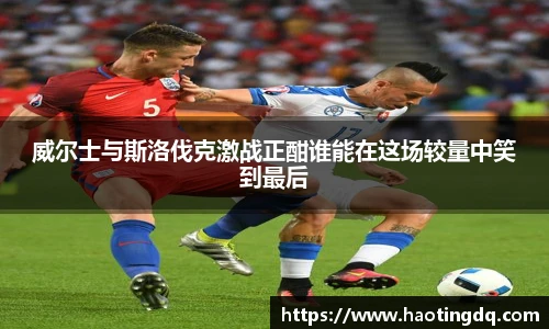 完美体育365WM平台官网